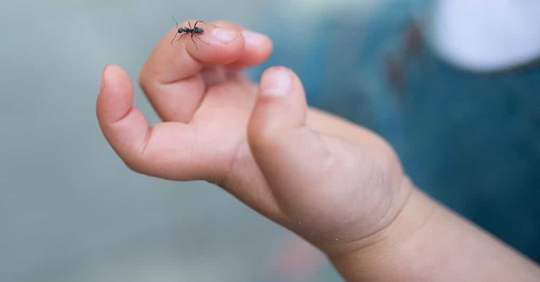 Kid with ant on finger.