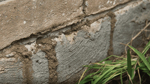 Signs of Termite Activity